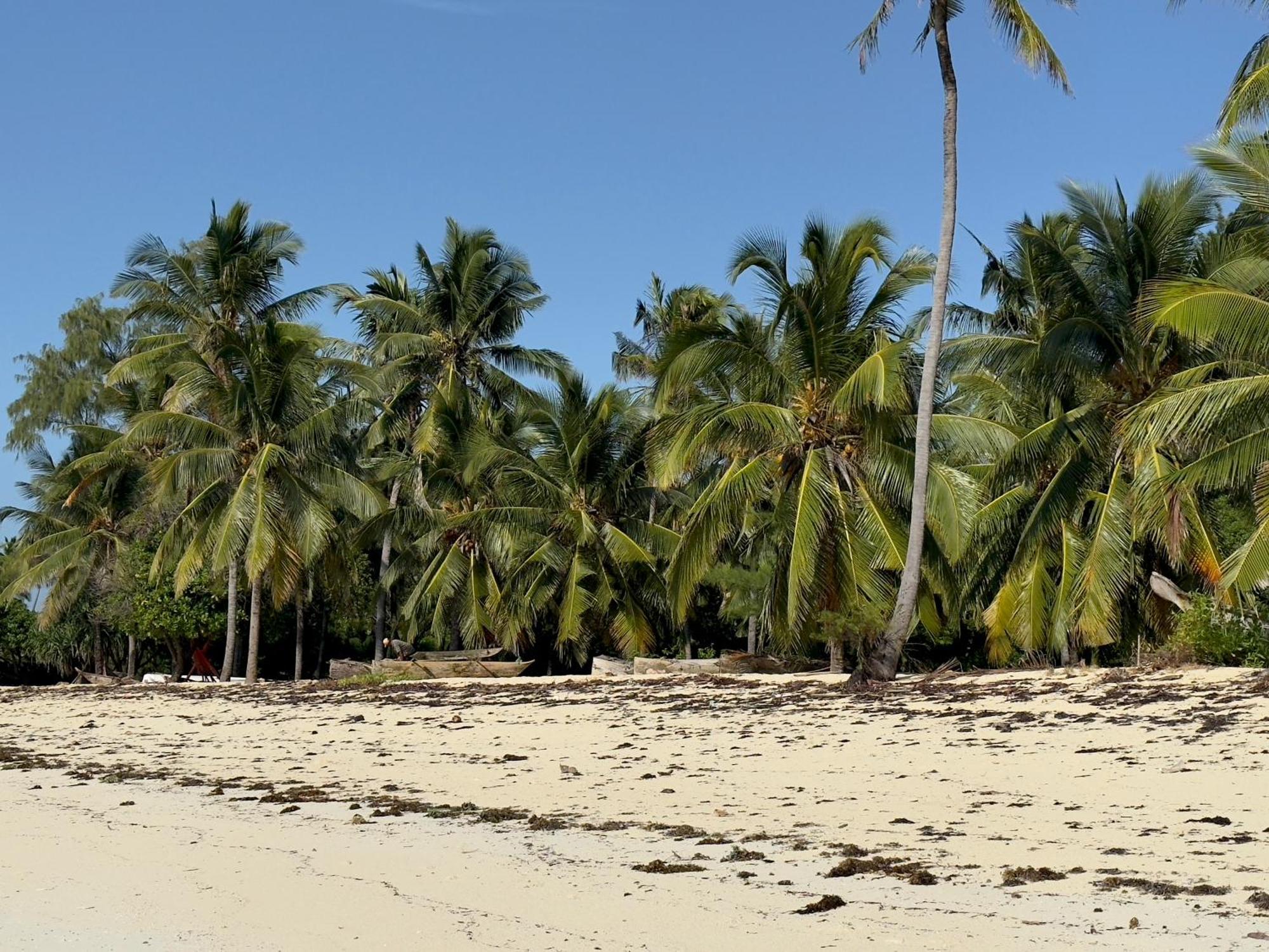 Juana Ocean Villas Makunduchi Экстерьер фото